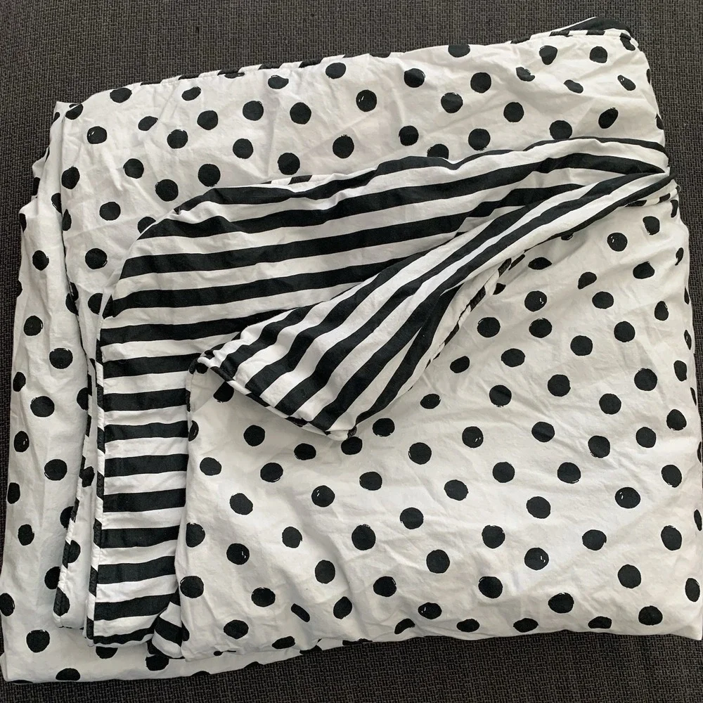 Pottery Barn Emily Meritt Stripe Polka Reversible Duvet Twin